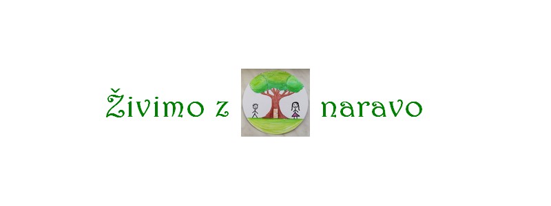 logo_simona2